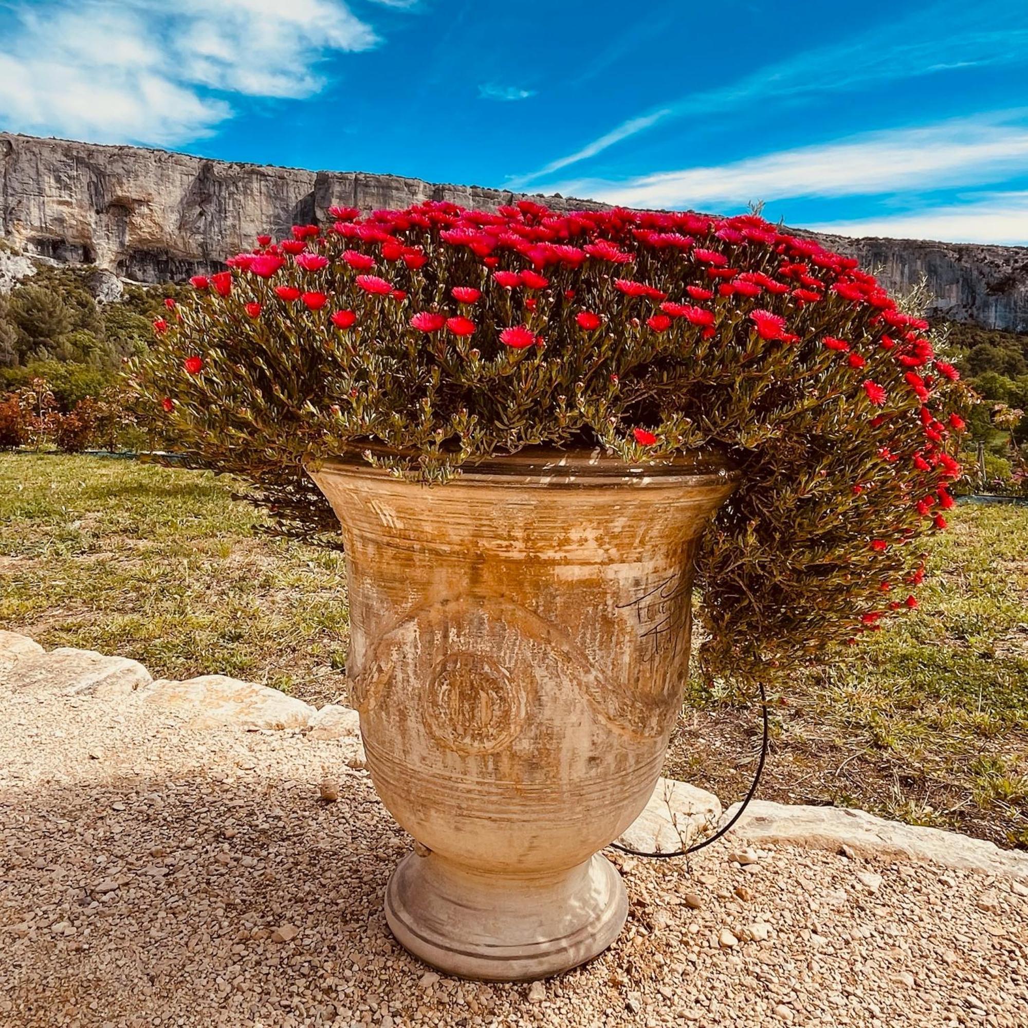 Gite La Madeleine Du Luberon. Lioux Extérieur photo